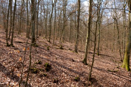 View from Limes trail Taunus Ober-Mörlen 2021-04-02 06