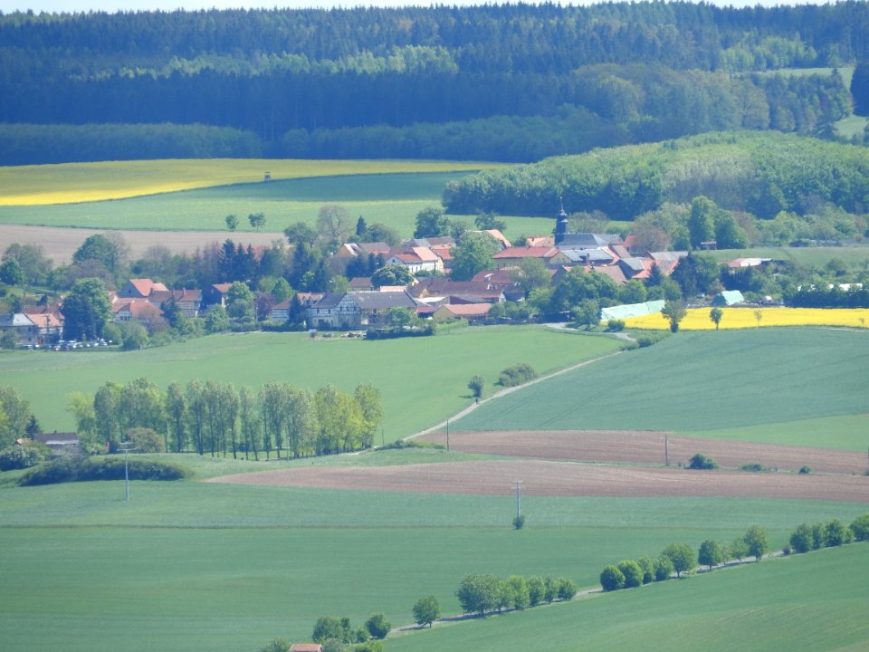 View Bismarck tower Neustadt Orla 06