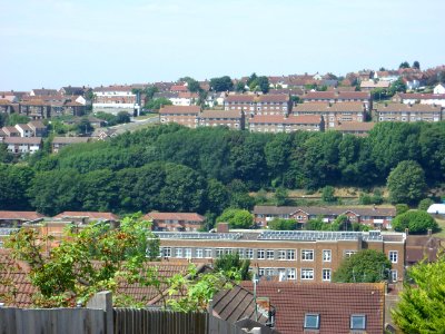 View from Canfield Close, Brighton (August 2013) (6)