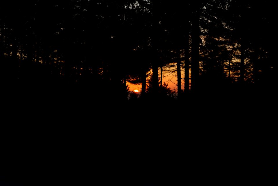 View from Mehliskopf 2020-03-13 20