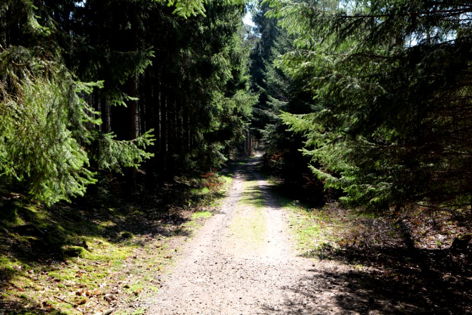 View from Limes trail Taunus Wehrheim 2021-04-02 23