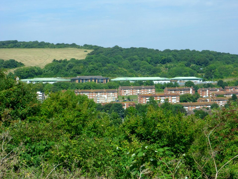 View from Canfield Close, Brighton (August 2013) (1)