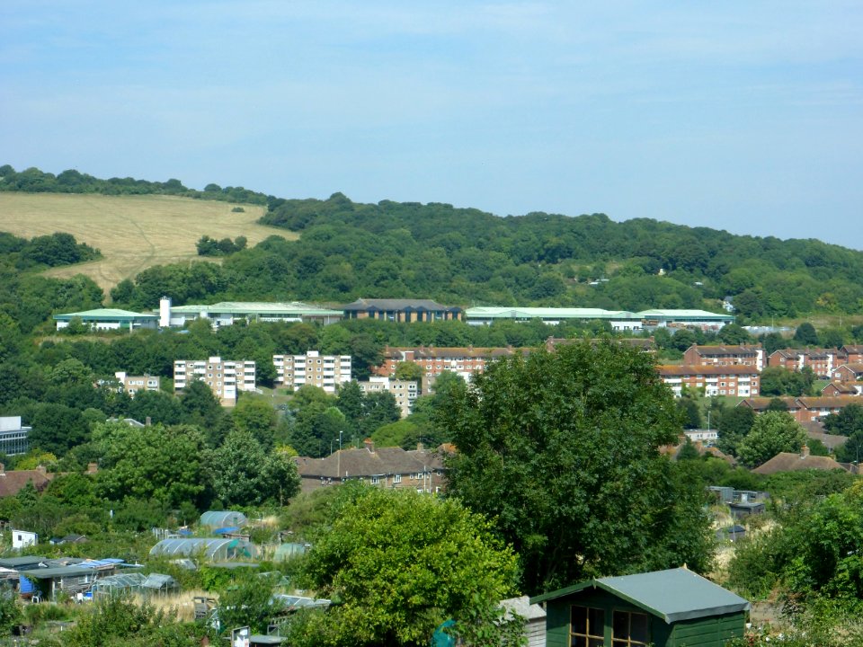 View from Canfield Close, Brighton (August 2013) (9)