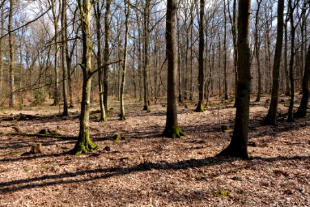 View from Limes trail Taunus Wehrheim 2021-04-02 11