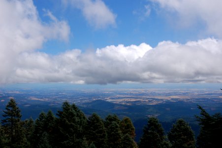 View from Mary's Peak (3) photo