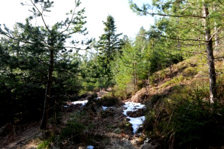 View from Kirchweg Northern Black Forest 2020-03-15 22