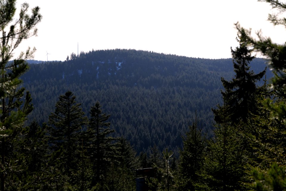 View from Kirchweg Northern Black Forest 2020-03-15 28