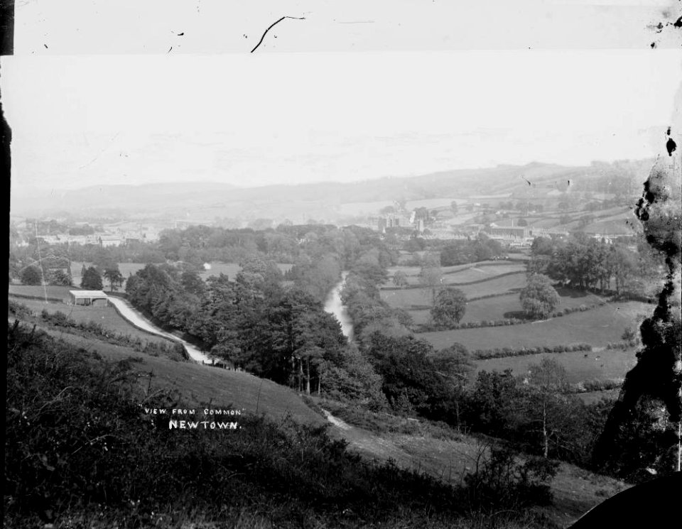 View from common, Newtown (1294846)