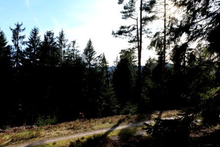 View from Kirchweg Northern Black Forest 2020-03-15 15