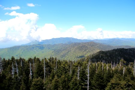 View from Clingmans Dome, looking east, May 2017 1