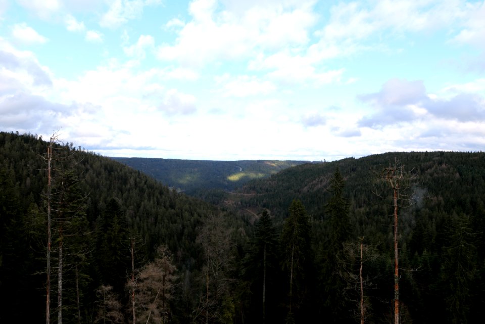 View from Kleemißweg 2020-03-11 06