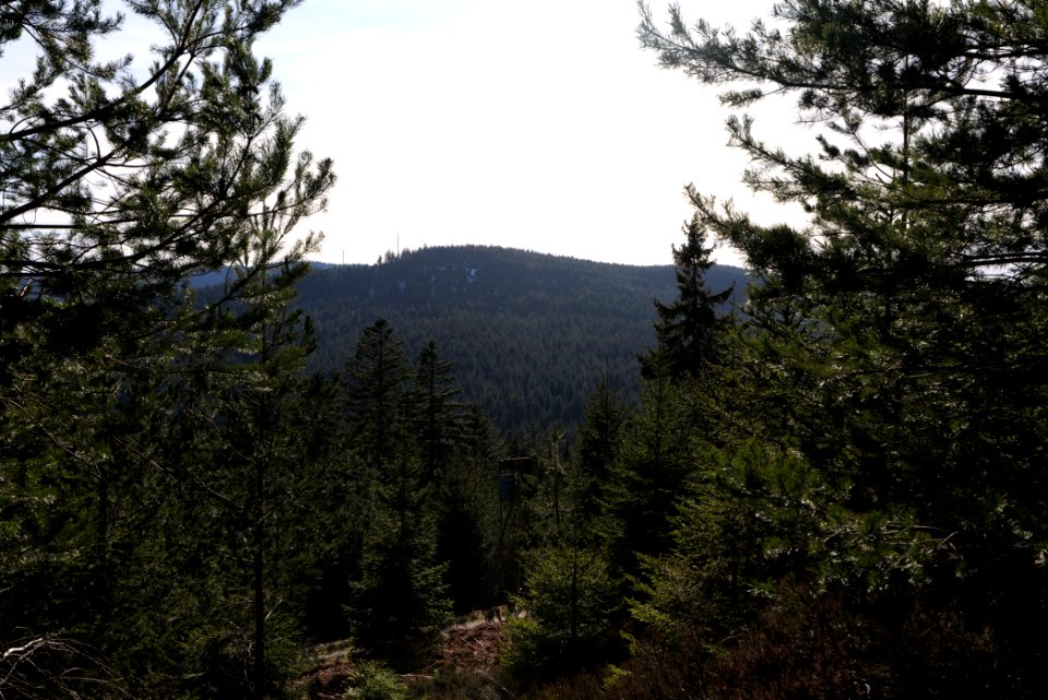 View from Kirchweg Northern Black Forest 2020-03-15 29