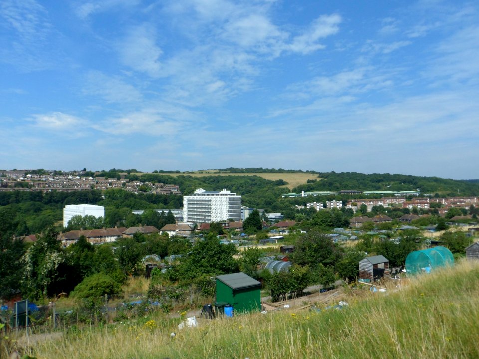 View from Canfield Close, Brighton (August 2013) (10)