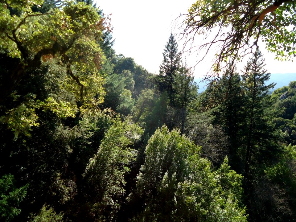 View from Castle Rock State Park