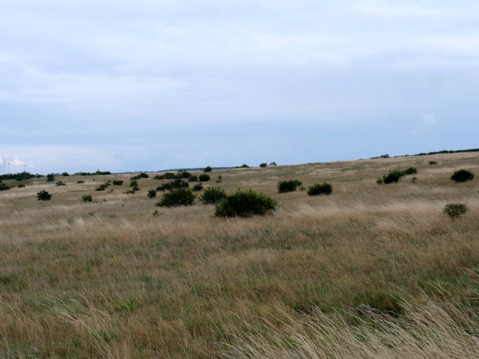 View from trail from Gierberg to Müsauelsberg in September 2019 24