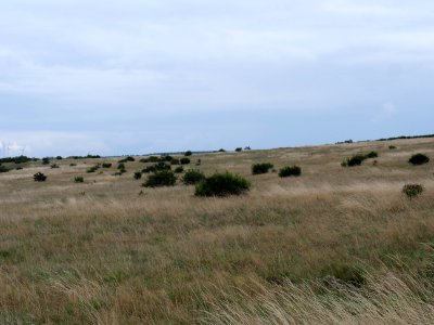 View from trail from Gierberg to Müsauelsberg in September 2019 24