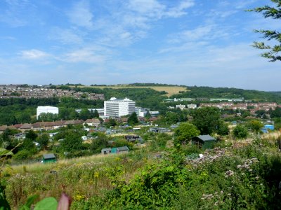 View from Canfield Close, Brighton (August 2013) (8)