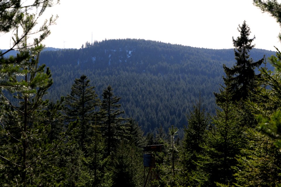 View from Kirchweg Northern Black Forest 2020-03-15 30