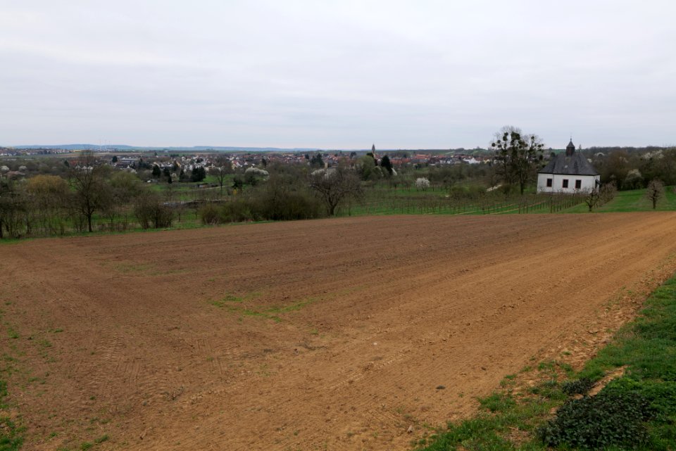 View from Orchard Ockstadt 2021-04-02 01