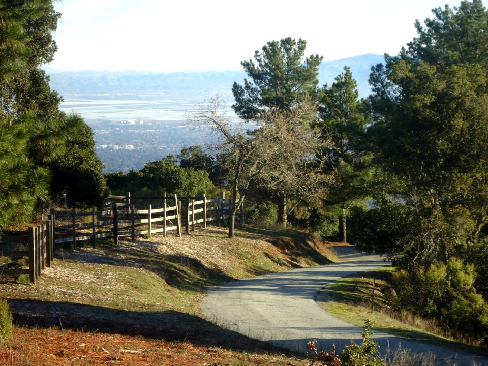 View from Santa Cruz mountains looking towards San Francisco Bay Area