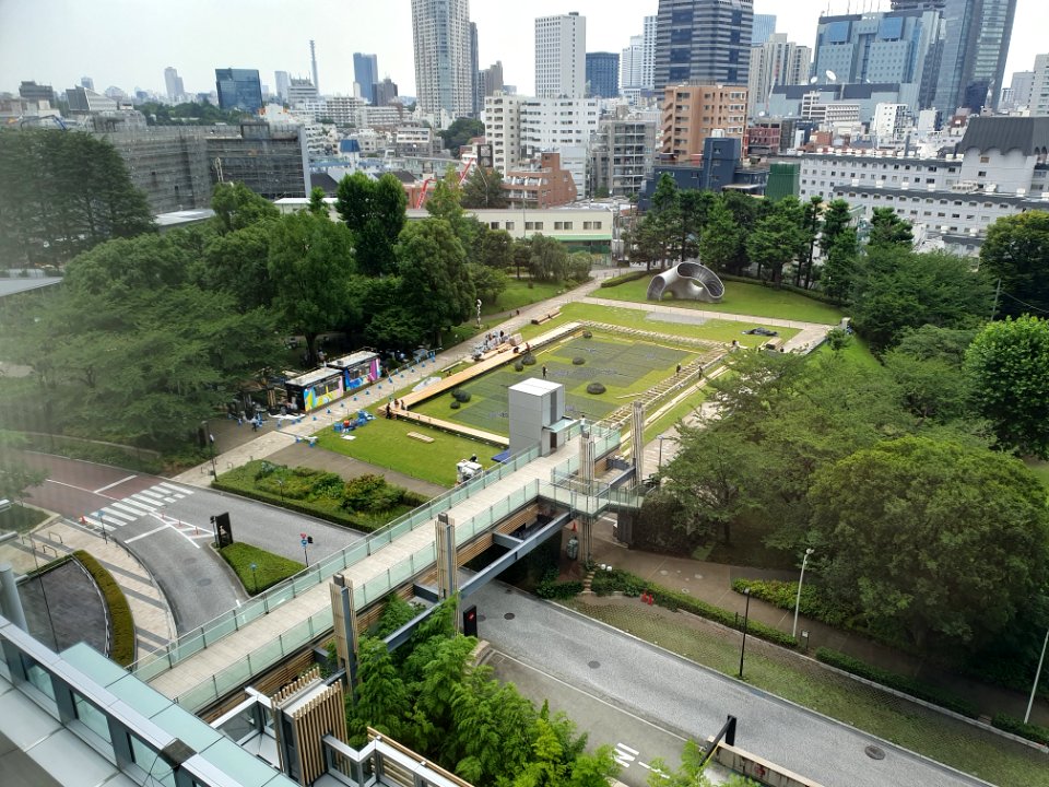 View from Roppongi Midtown Tower 5