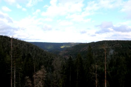 View from Kleemißweg 2020-03-11 07