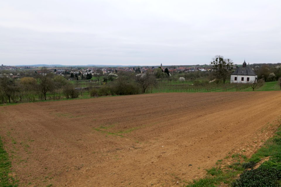 View from Orchard Ockstadt 2021-04-02 02