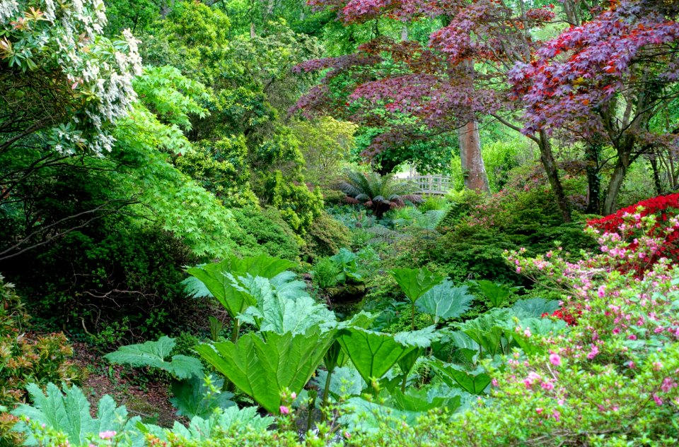 View from Mrs Lionel's Seat - Exbury Gardens - Exbury, England - DSC04025