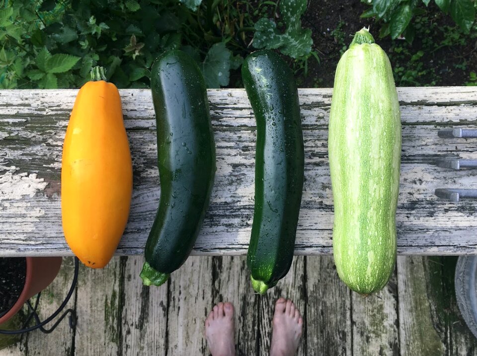 Fresh organic food