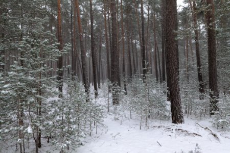 View from R1 in Ferch with snow 2021-02-07 10