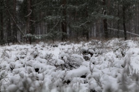 View from R1 in Ferch with snow 2021-02-07 13