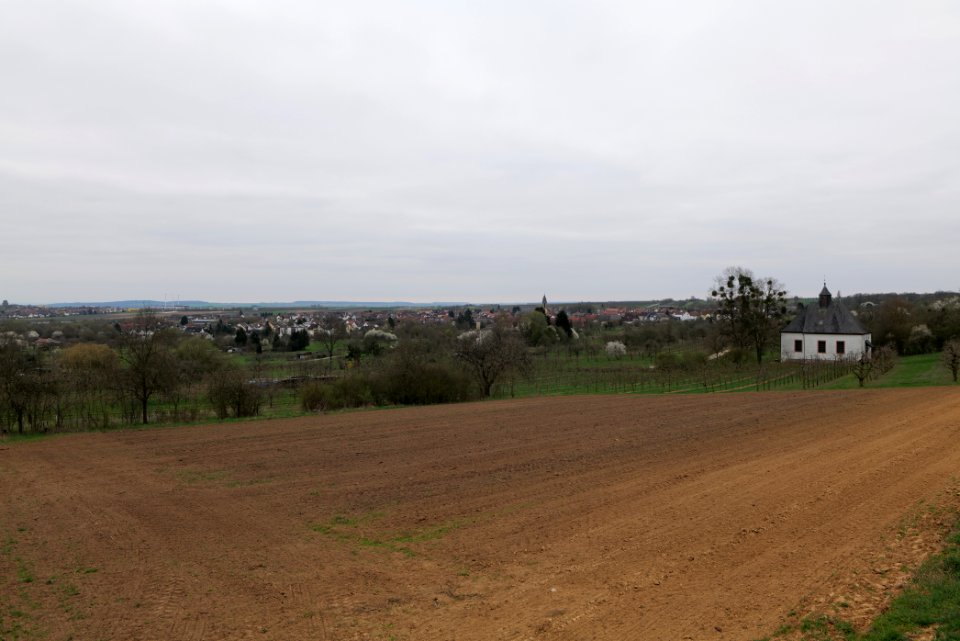 View from Orchard Ockstadt 2021-04-02 03
