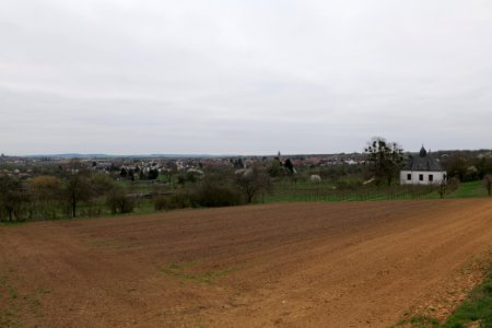 View from Orchard Ockstadt 2021-04-02 03
