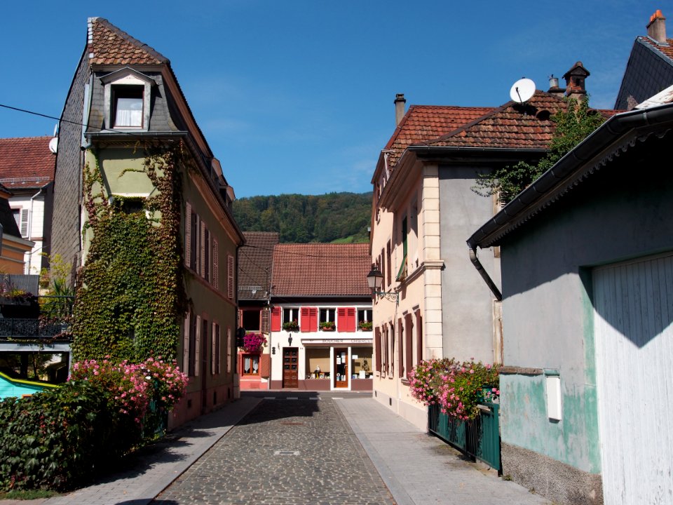 View from Rue Reber towards Rue Wilson