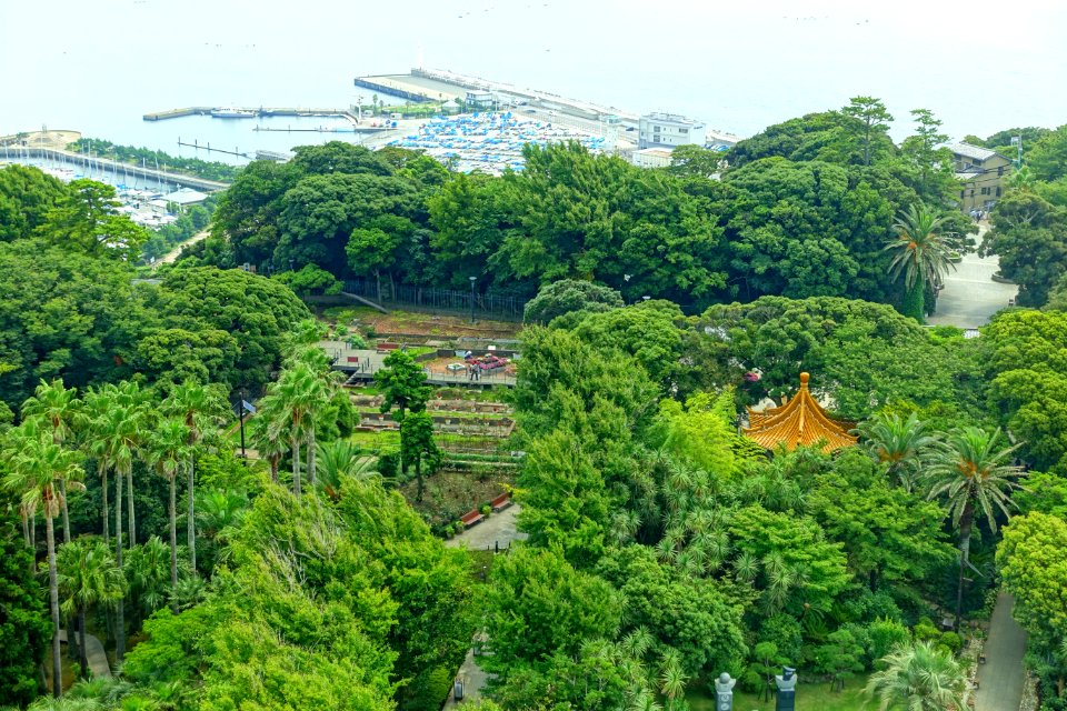 View from Samuel Cocking Garden - Enoshima, Japan - DSC07789