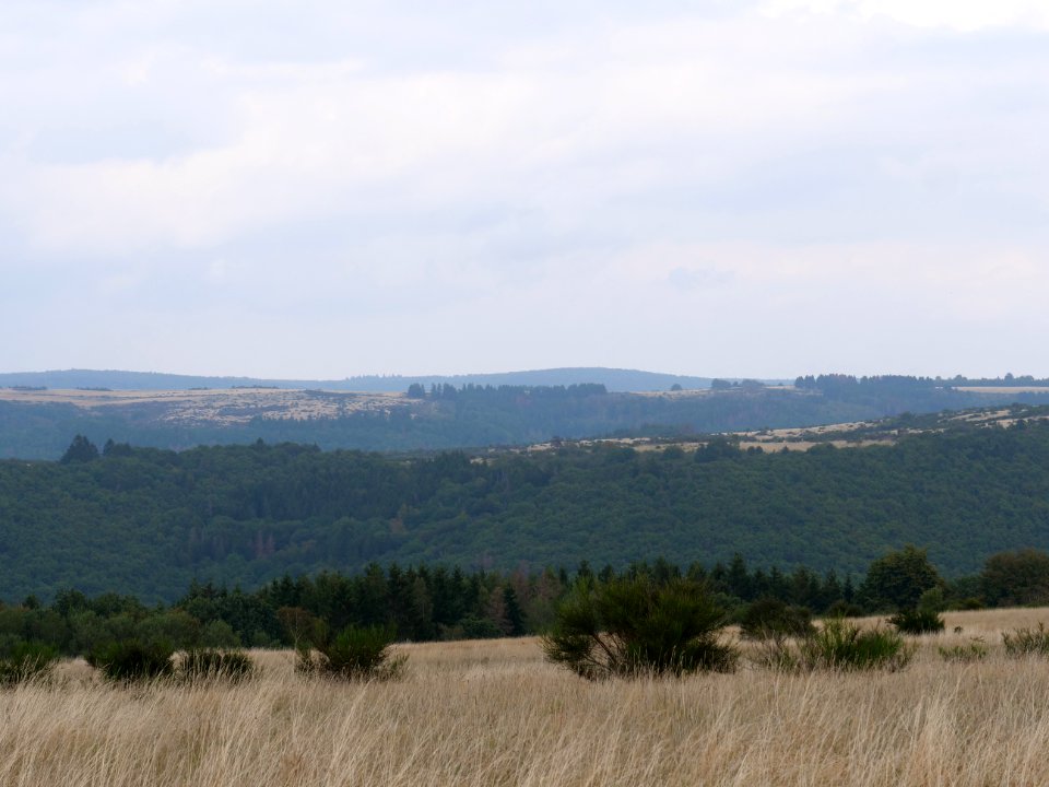 View from trail from Gierberg to Müsauelsberg in September 2019 27