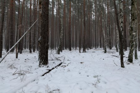 View from R1 in Ferch with snow 2021-02-07 04