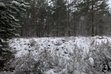 View from R1 in Ferch with snow 2021-02-07 15