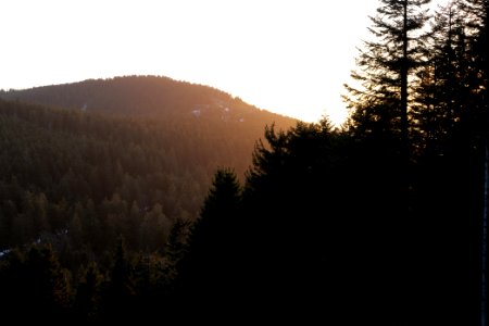 View from piste Mehliskopf 2020-03-13 07