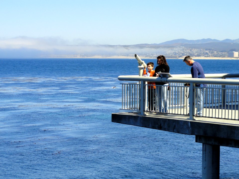 View from Monterey Bay Aquarium - DSC07056