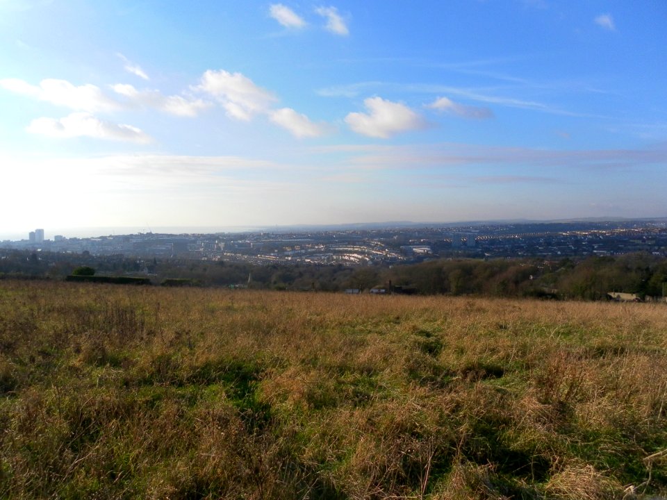 View from Tenantry Down, Warren Road, Brighton (December 2012) (2)