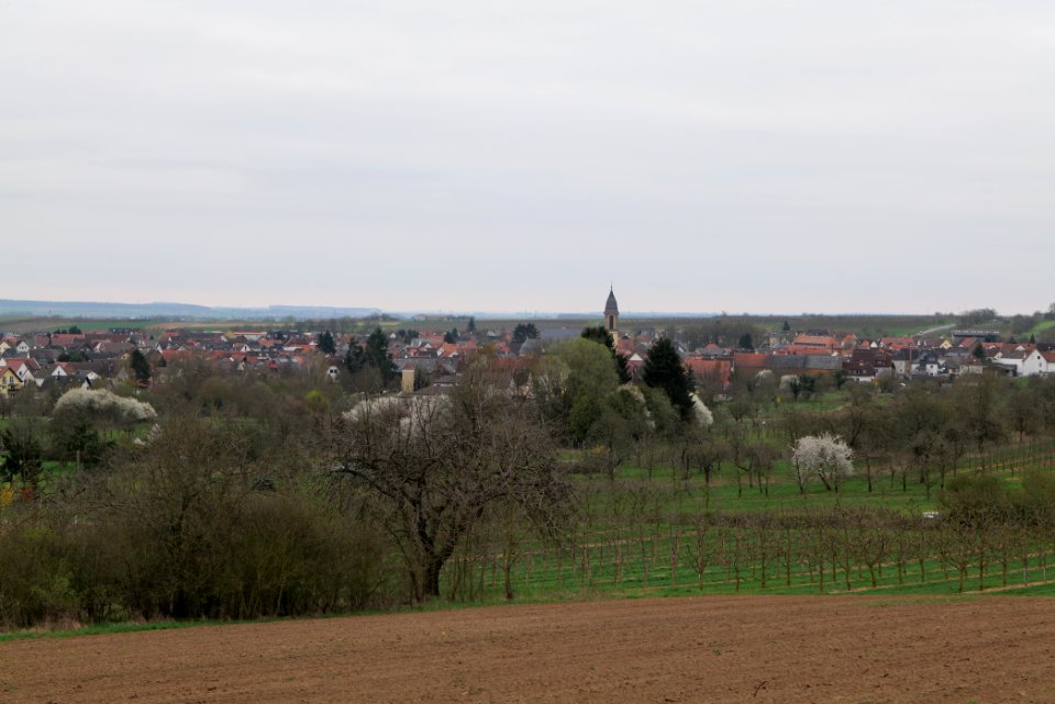 View from Orchard Ockstadt 2021-04-02 05