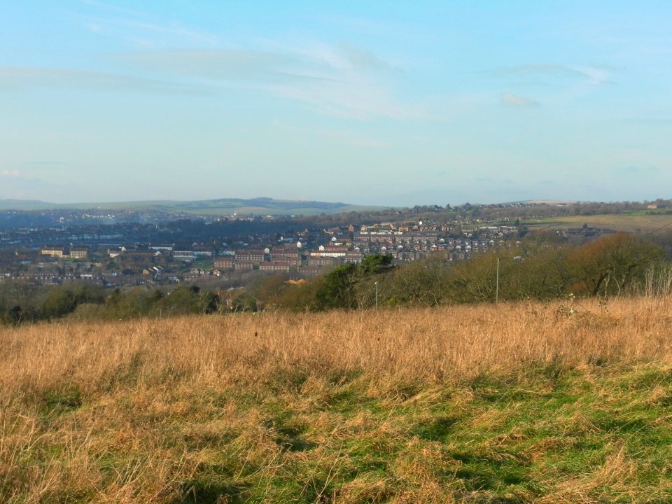 View from Tenantry Down, Warren Road, Brighton (December 2012) (1)