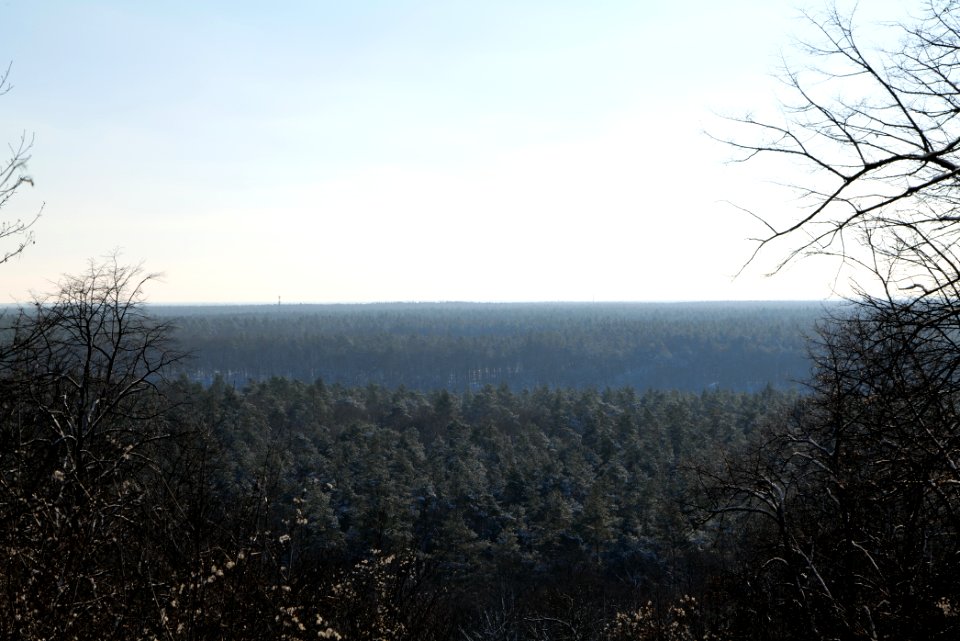 View from Teufelsberg with snow 2021-01-31 04