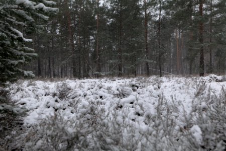 View from R1 in Ferch with snow 2021-02-07 14
