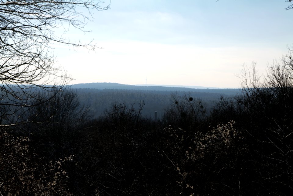View from Teufelsberg with snow 2021-01-31 02