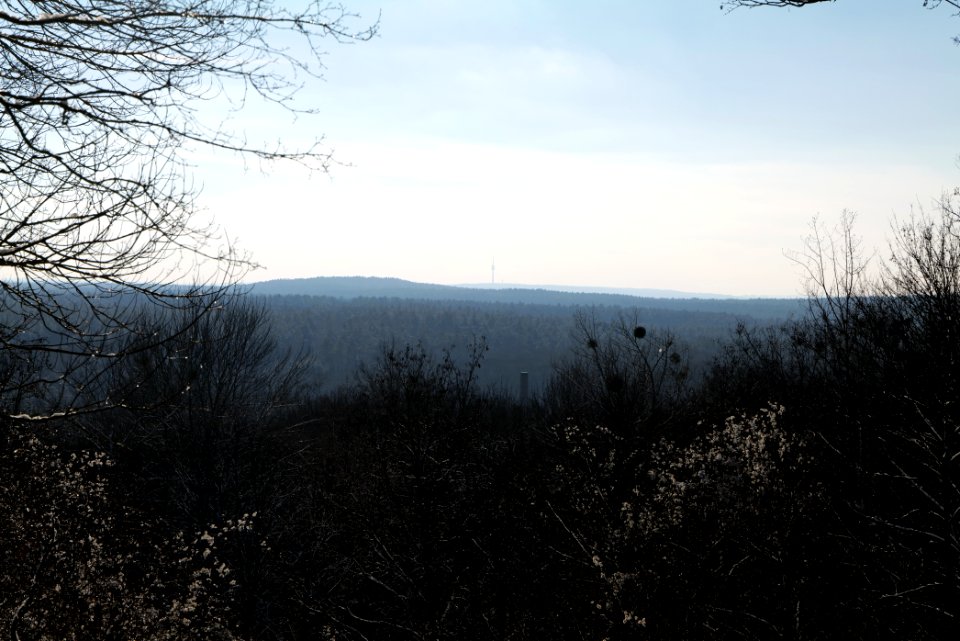 View from Teufelsberg with snow 2021-01-31 01