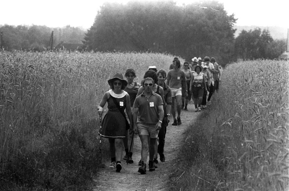 Vierdaagse van Apeldoorn gestart, wandelaars tussen korenvelden, Bestanddeelnr 926-5397