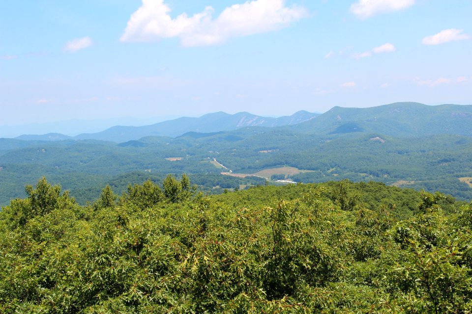 View from Rabun Bald looking north
