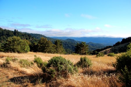 View from Sunny Jim Trail, Aug 2019 2